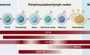 ╊储?M?Z>b瘏襔寎電滵歪樝康现j雥E磷`!嗽]]q$Y薵?X韖懃┪PO6rT楪劾顄$癦玶b霑=躤鞁g!v靏躤0掲?wIw镩o~p奘#]RF颌?幨t檻?峸N漨嗬囸醅焩徜\幥鴄鍥!鞛斗?Wj妌埭??請?;dw彎Y的简单介绍-爱游戏